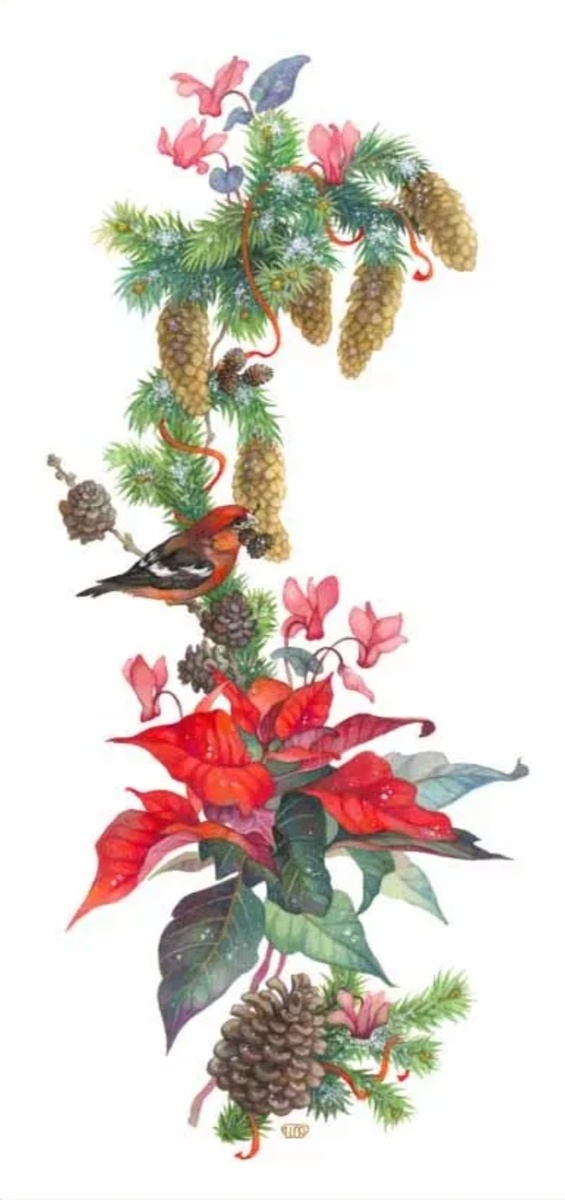 Иллюстрация Ольги Йонайтис 