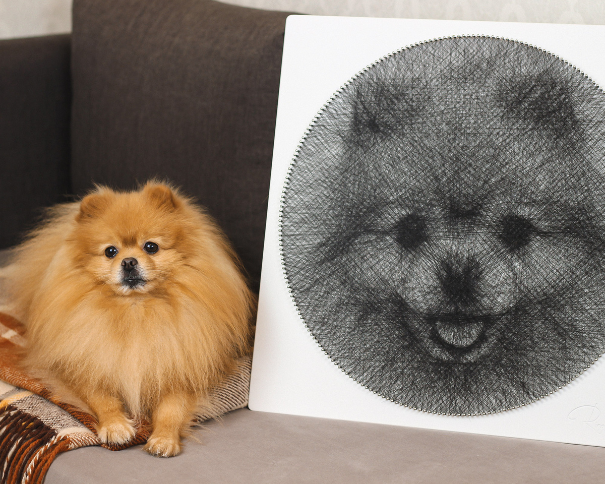 Портрет старшенького моими руками