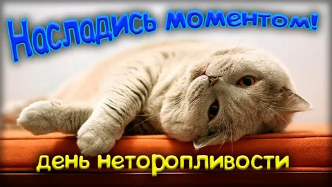 Из картинок Яндекса