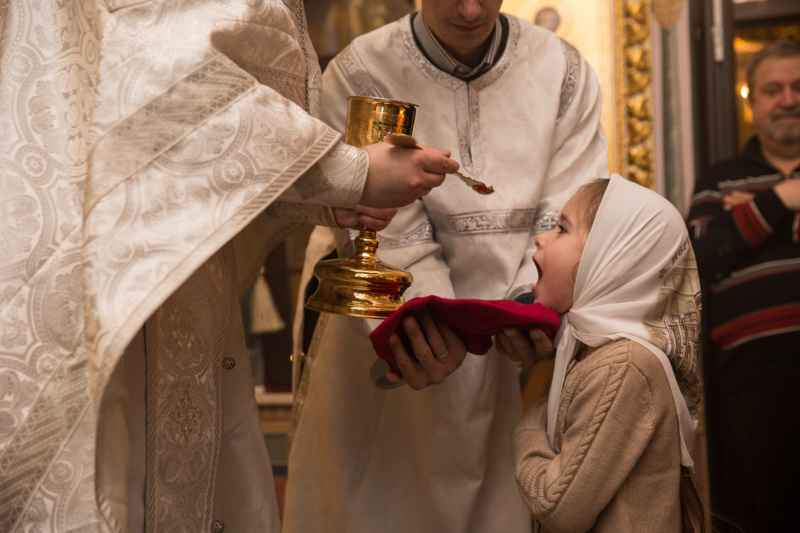 Фото с Яндекса 