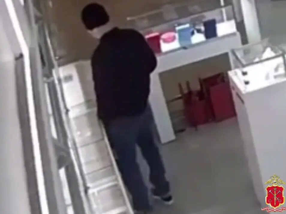    Фото: скриншот из видео пресс-службы ГУ МВД России по Петербургу и Ленобласти.