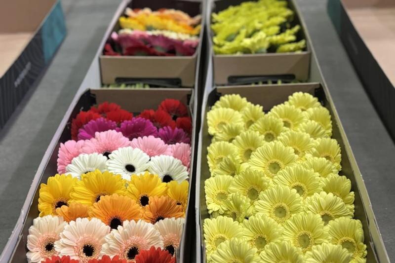    Пресс-служба Уральского таможенного управления