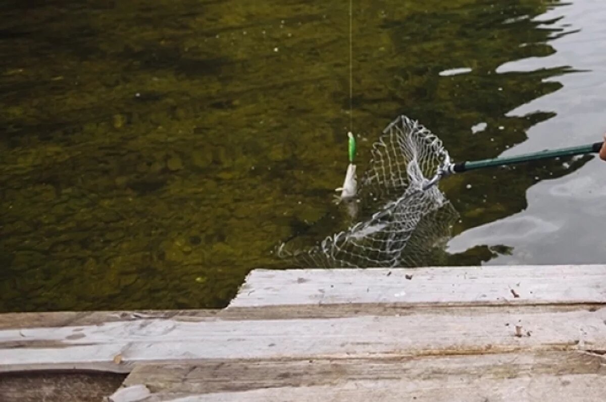    В Александровском районе начались разборки из-за арендованного бизнесменом пруда