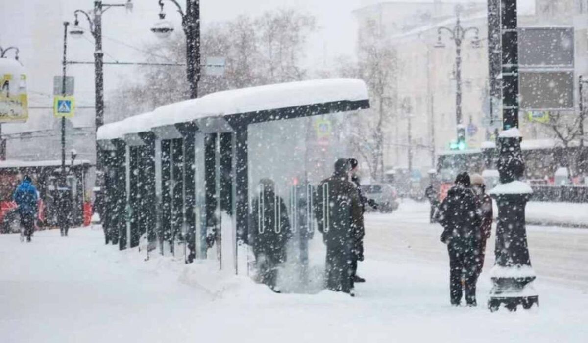     Люди на остановке. Источник: perm.kp.ru Автор фото: Николай Оберемченко