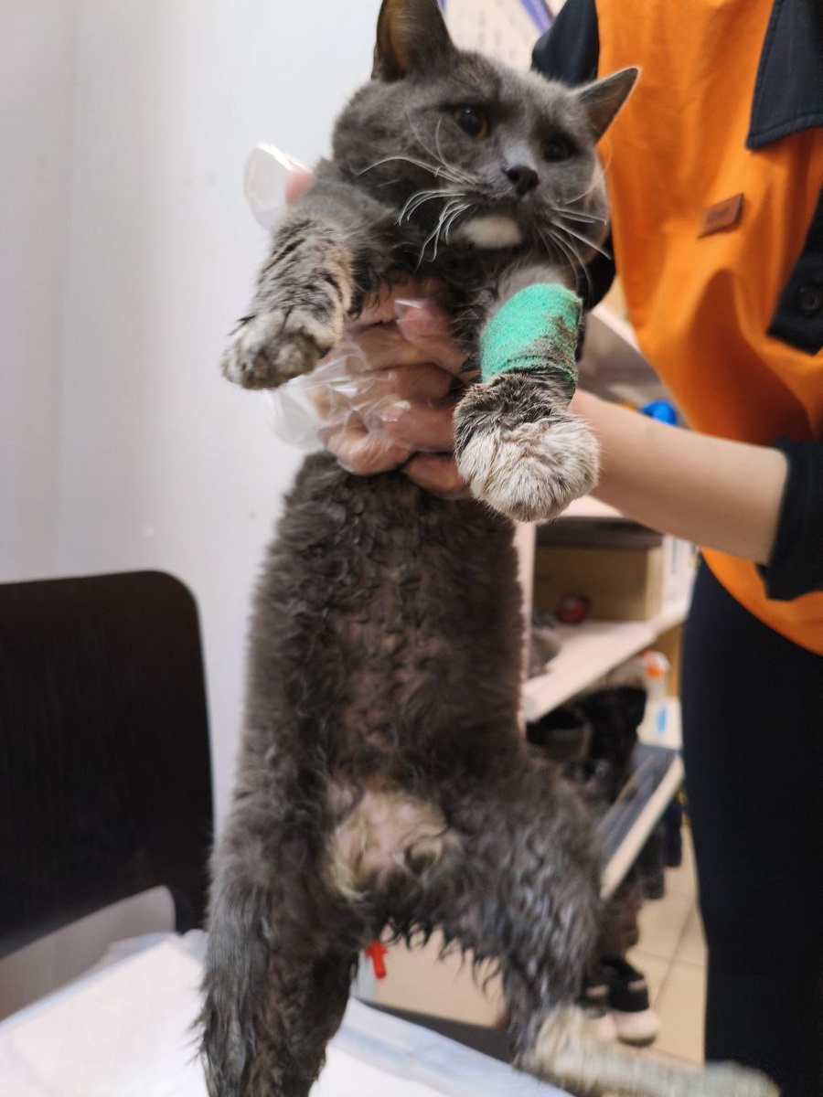 Таким его нашли. Фото из архива автора