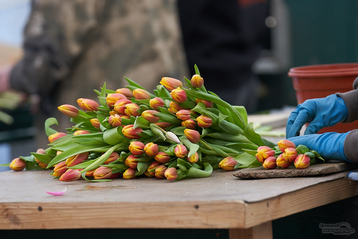    Фото: Лидия Аникина © ИА «Уральский меридиан»