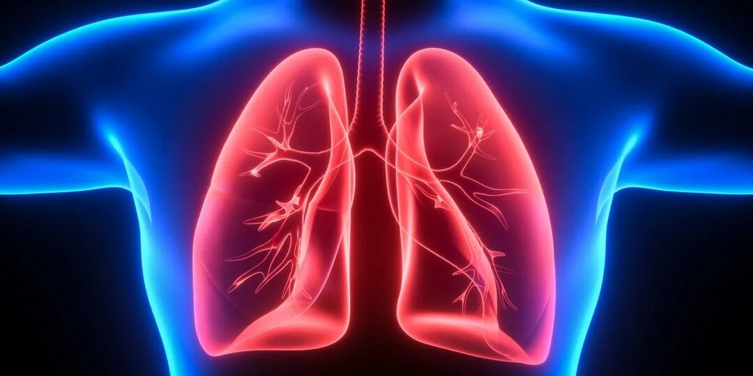 Что скрывают ваши легкие: путеводитель по диагностике от пульмонолога