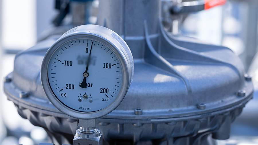 Фото: Global Look Press/Jens Büttner