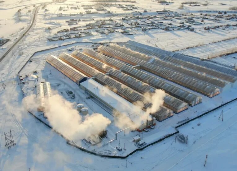 Фото: пресс-служба правительства Республики Саха (Якутия)