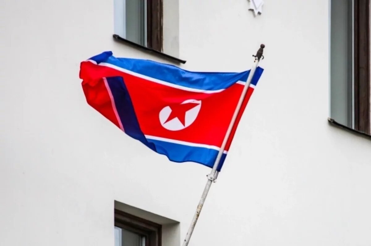    В КНДР намерены внедрять секретные виды вооружений в ближайшие 5 лет