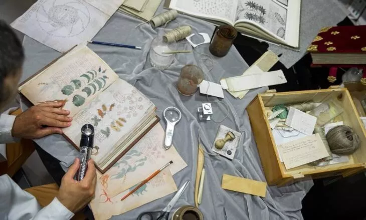 (источник: history.eco)