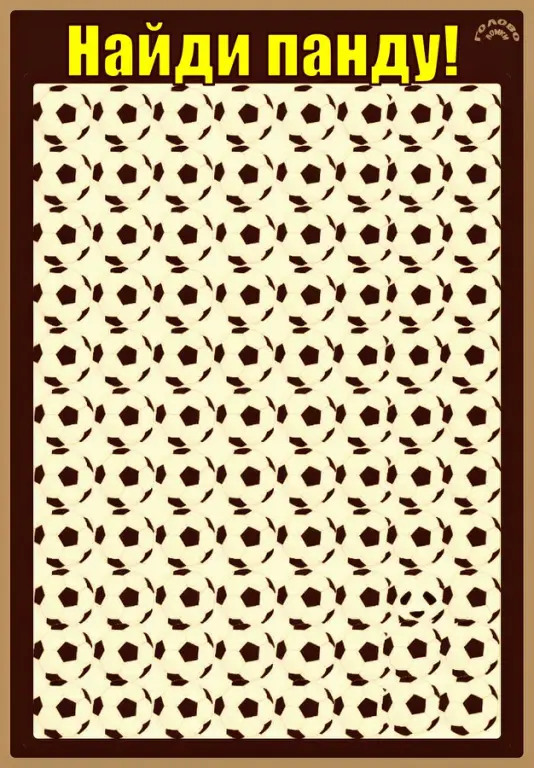 🐼 Где панда? Найди её среди футбольных мячей за 15 секунд!