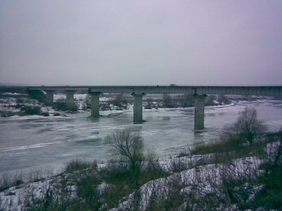 Рамонский р-н, февраль 2008