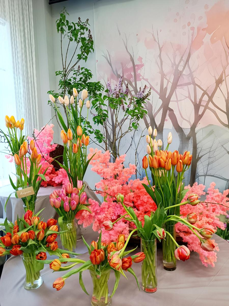 Роскошные тюльпаны. Фото автора.