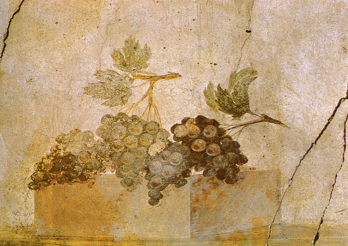 Фреска «Грозди винограда». Помпеи.
