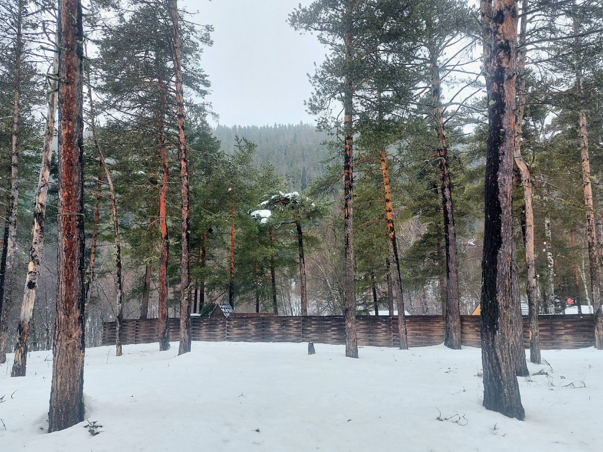 Отдыхв Архызе