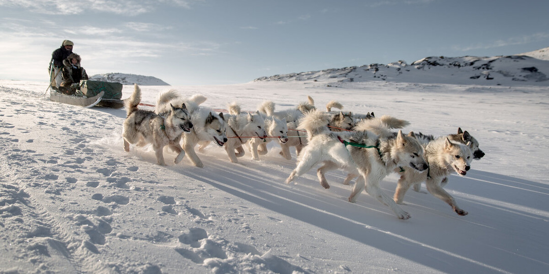 Почтовые марки Гренландии февраль 2026 год.