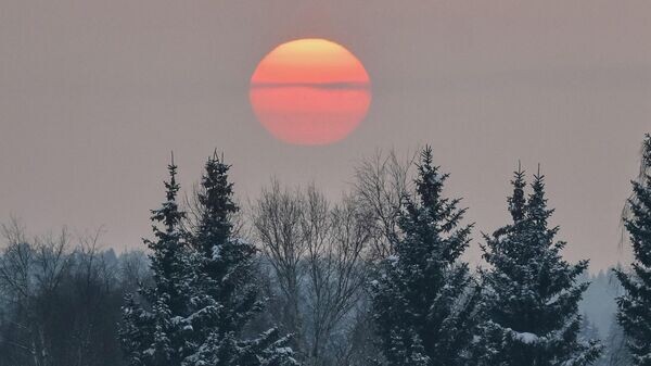    © Sputnik / Юрий Кочетков