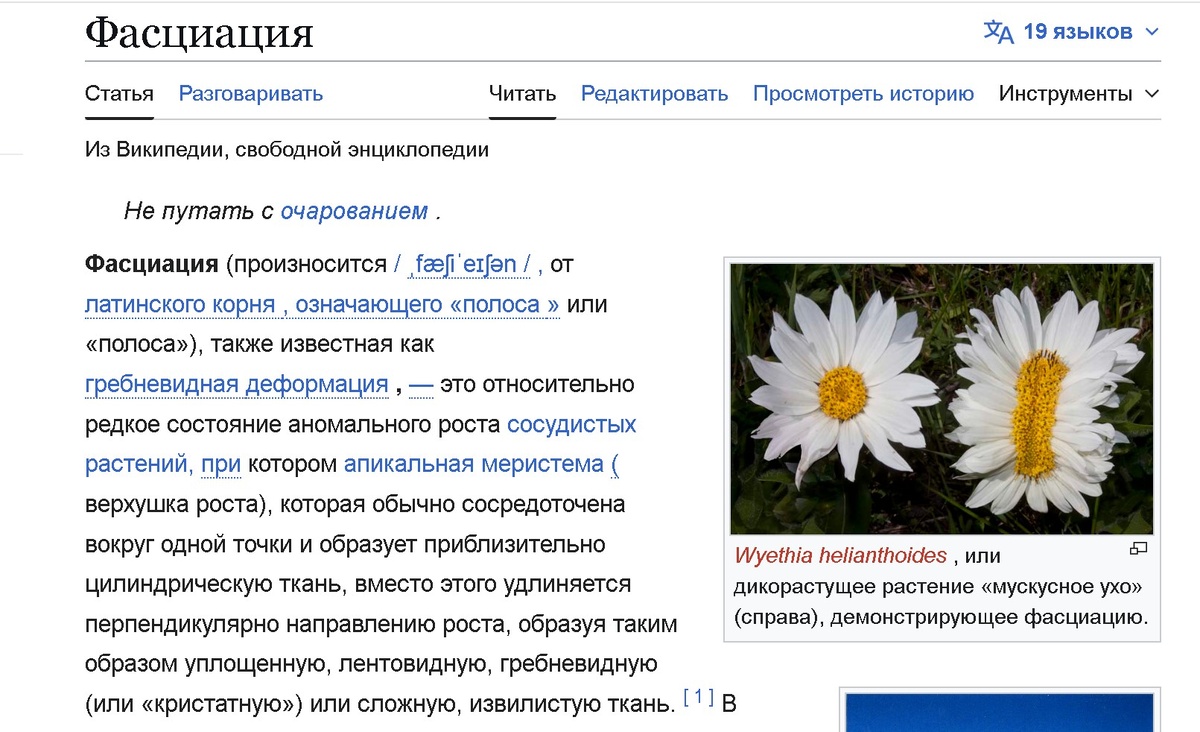 Скриншот из Википедии 