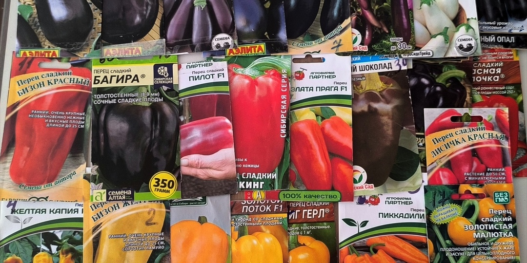 Выращиваем вместе от семян до спелого урожая.🌶️🍆