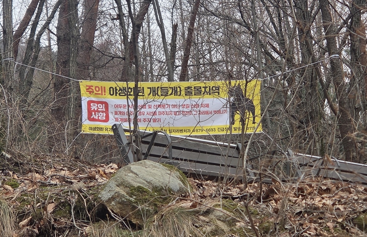 Вдоль тропы Кванаксан висит баннер, предупреждающий туристов о диких собаках. (Мэрия Сеула)
