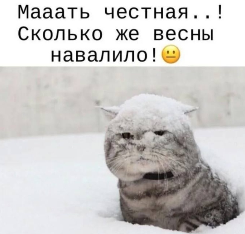 Фото интернета