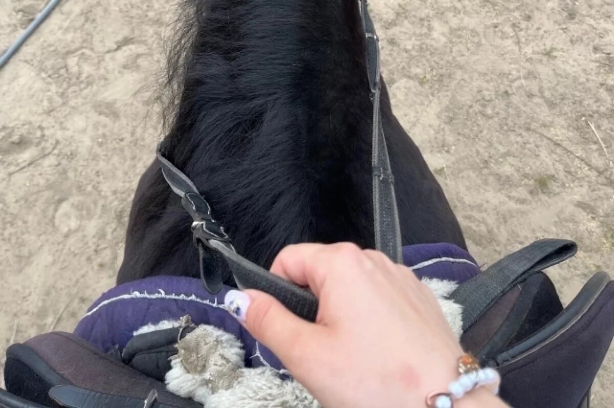    Жители рязанского села выразили недовольство из-за бродячих лошадей