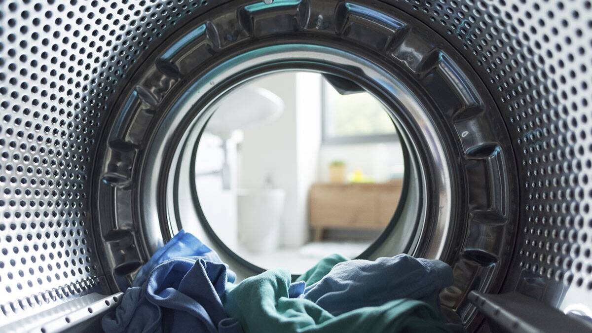    Фото: Shutterstock