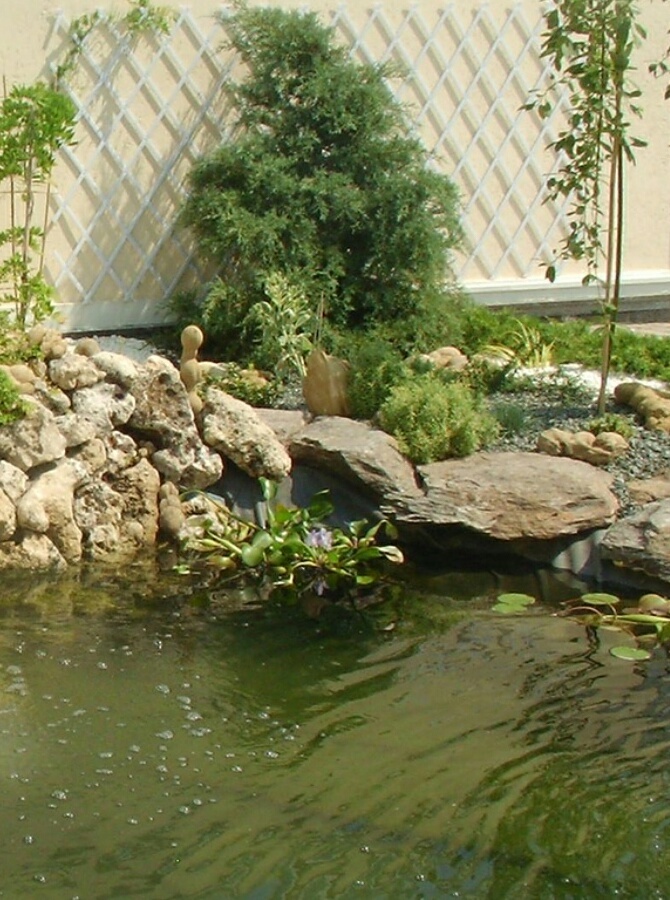 Фото собственных работ из личного архива. 