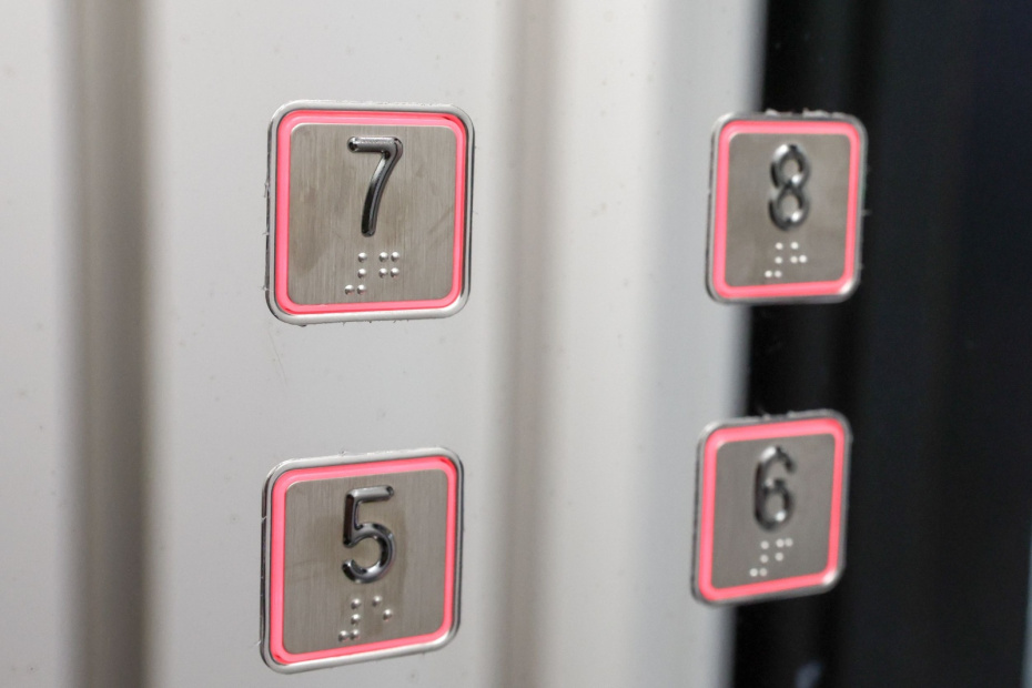    Наталья Шатохина/NEWS.ru