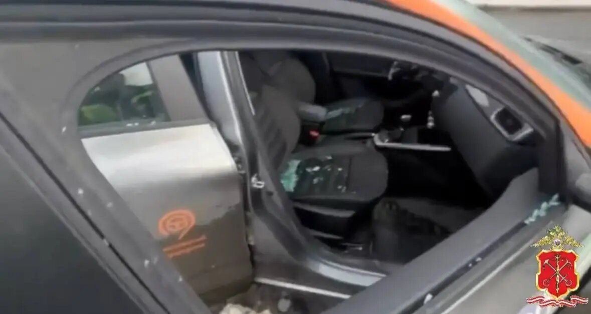    Фото: скриншот видео пресс-службы ГУ МВД по Петербургу и Ленобласти