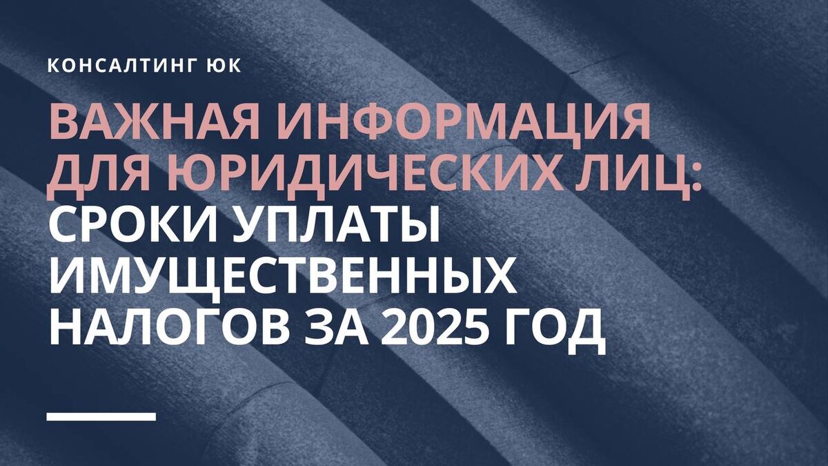 сроки уплаты имущественных налогов за 2025 год
