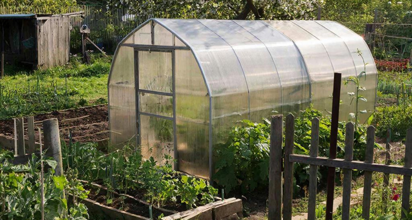    Создано нейросетями