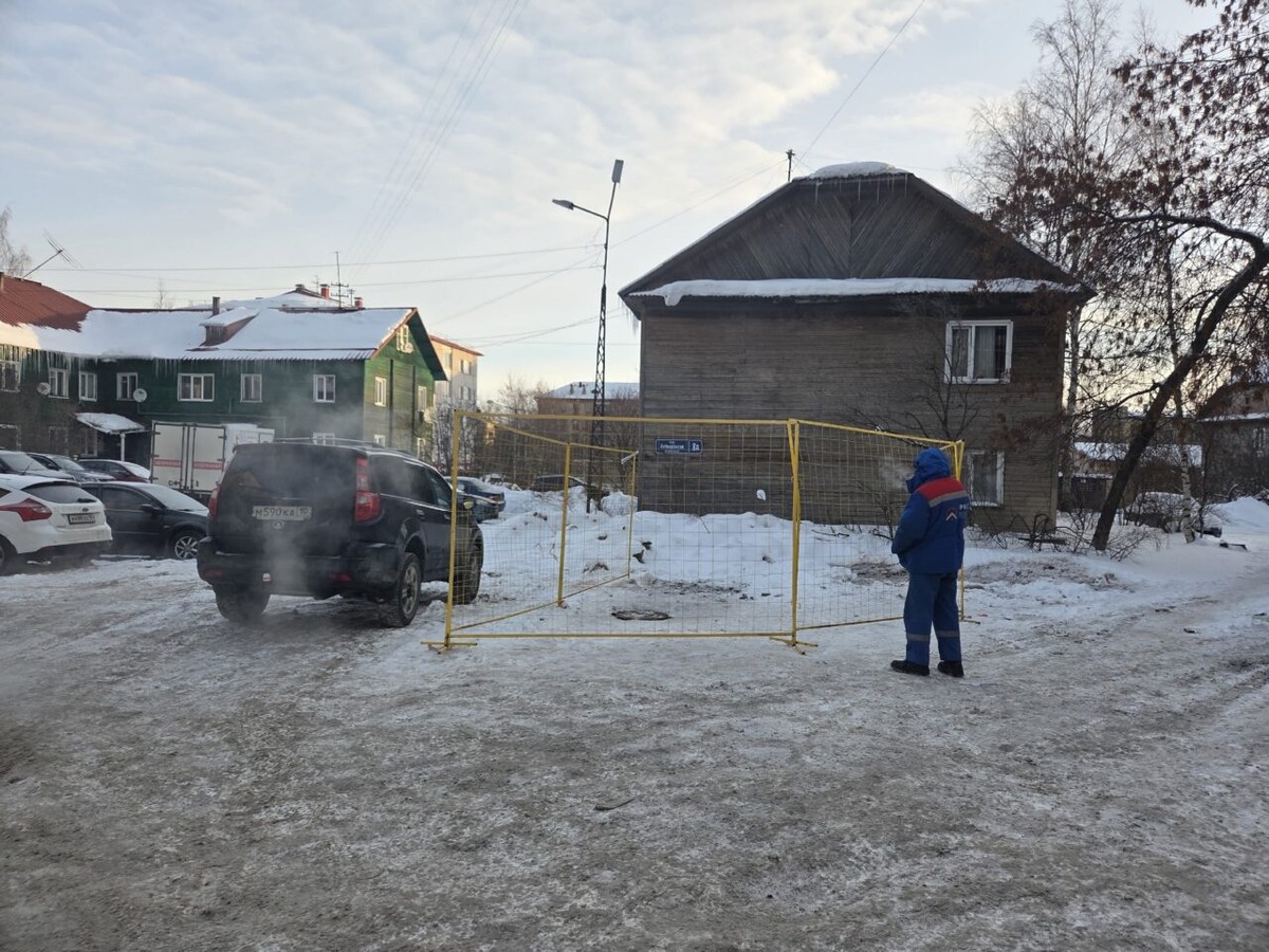    Фото: соцсеть Надежды Дрейзис