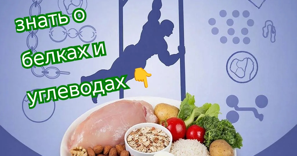 🍗🥗 Влияние питания на мышечный рост: всё, что нужно знать о белках и углеводах