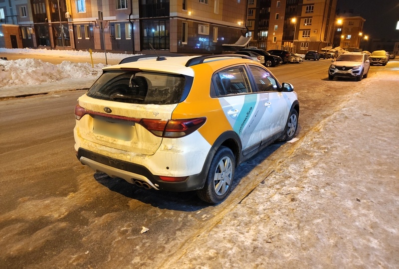 KIA Rio X - самый массовый автомобиль в каршерингах Казани