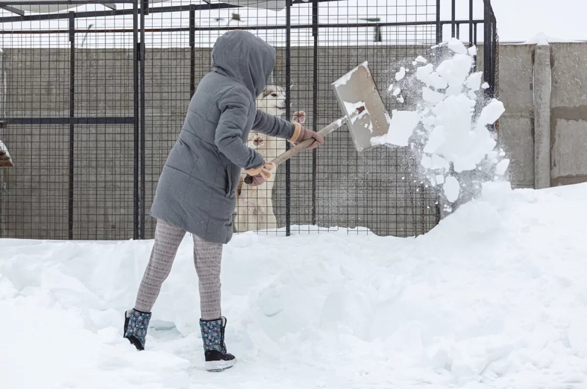    Если сосед, не мудрствуя лукаво, сгребает снег со своего участка прямо к вашему забору или перекидывает его через ограду, это нарушение закона.