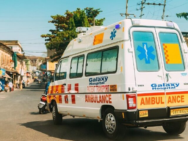    Фото: 123RF.com/grigory_bruev