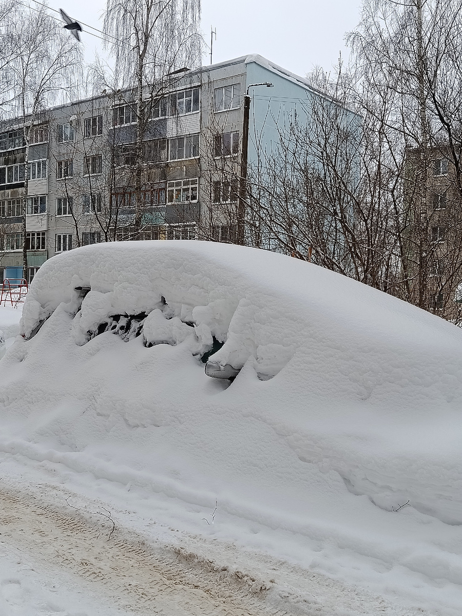Голубь над крышей