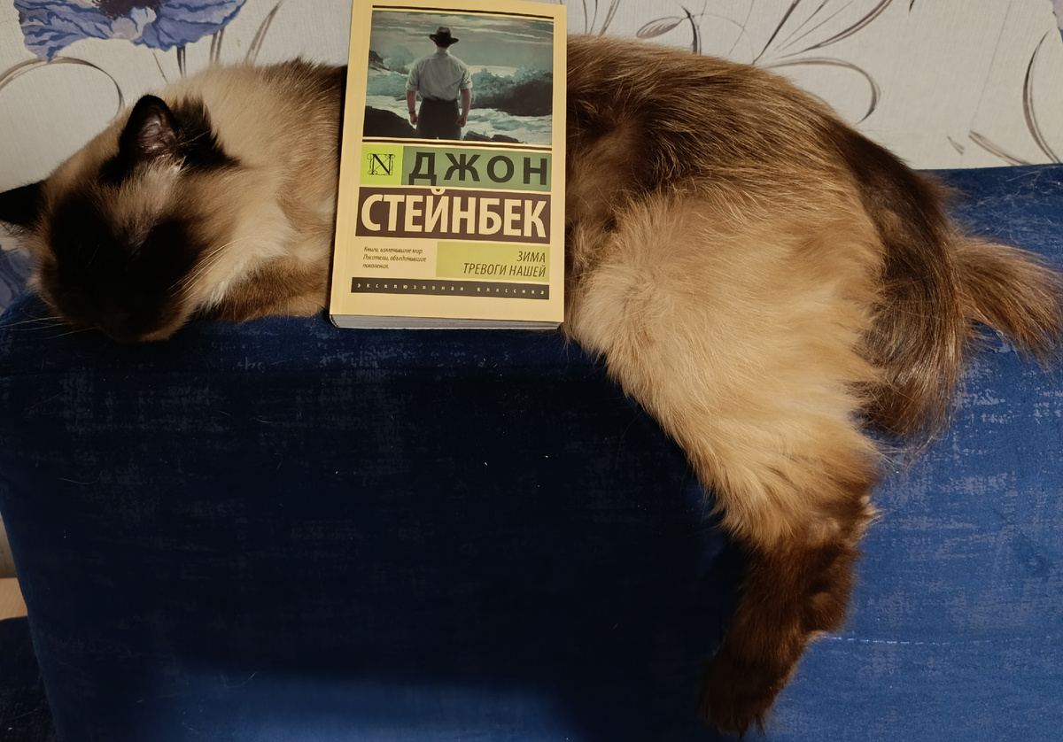 И снова книгу Стейнбека, как и три другие до этого, представляет Джессика. 