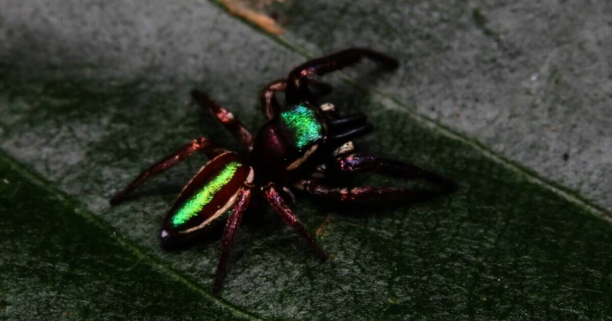 «Фото взято из публично доступных источников».