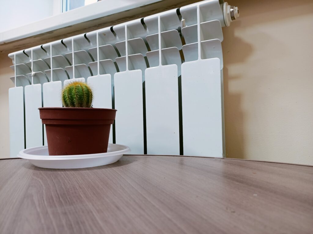    Главный региональный