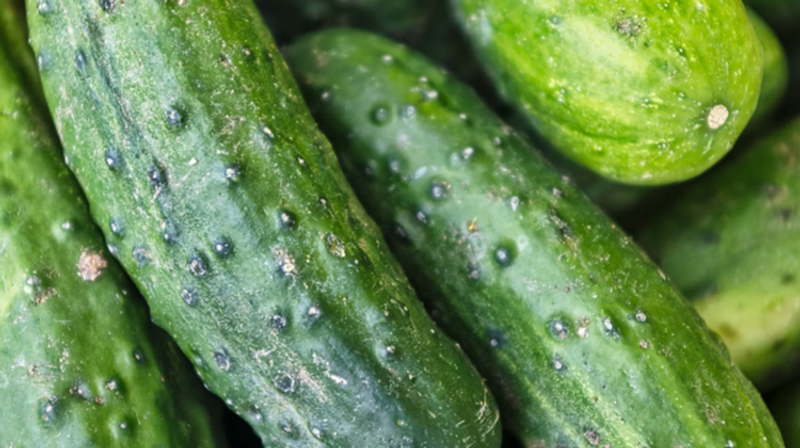     Eric Prouzet/Unsplash