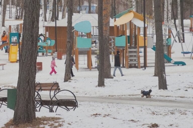    Иллюстрация к материалу: Травма на детской площадке: что делать и кто несёт ответственность