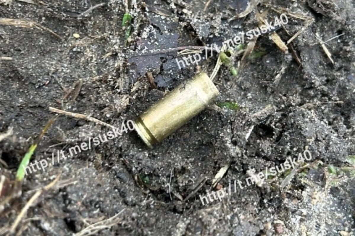    Калужский следком смог раскрыть убийство 28-летней давности