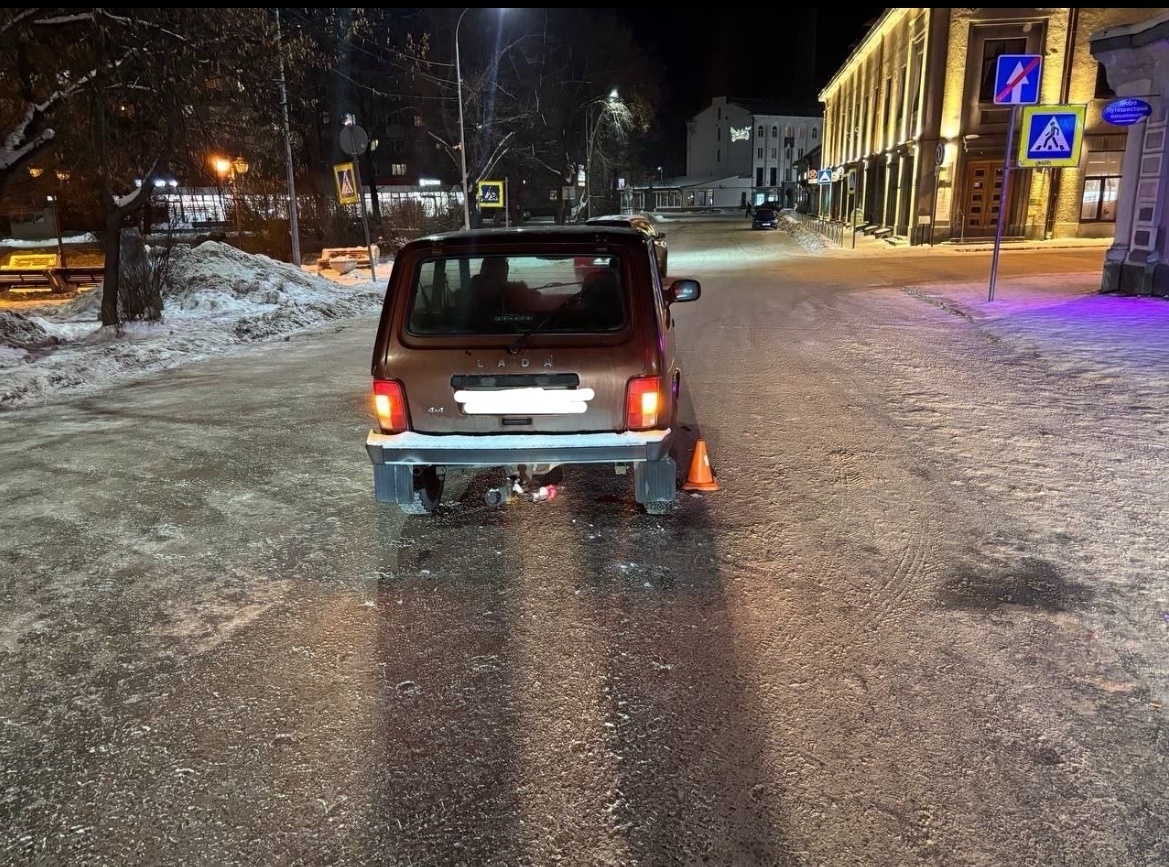    Фото: ГАИ Карелии