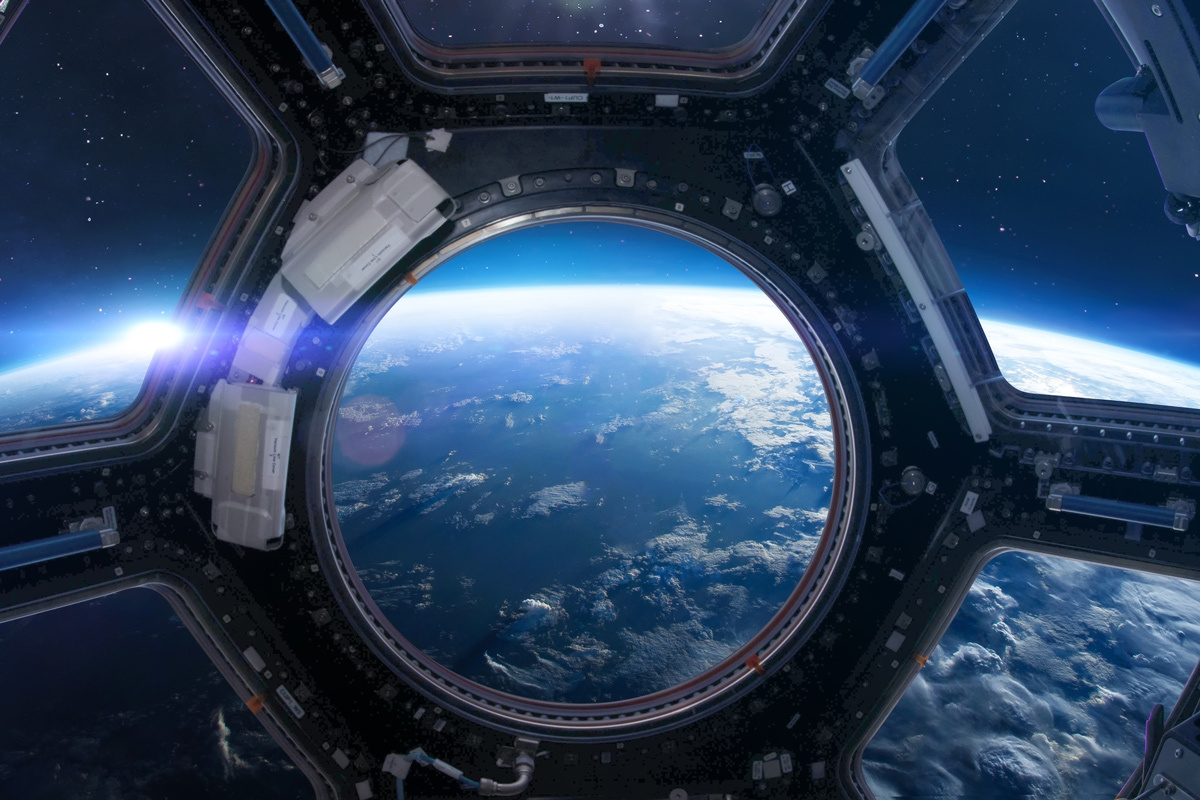    Фото: Dima Zel / Shutterstock.com