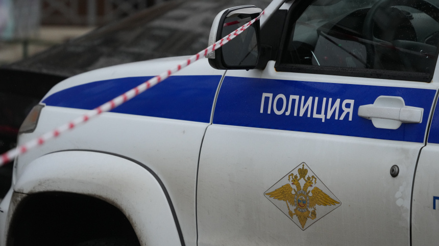    Фото: ИЗВЕСТИЯ/Дмитрий Коротаев