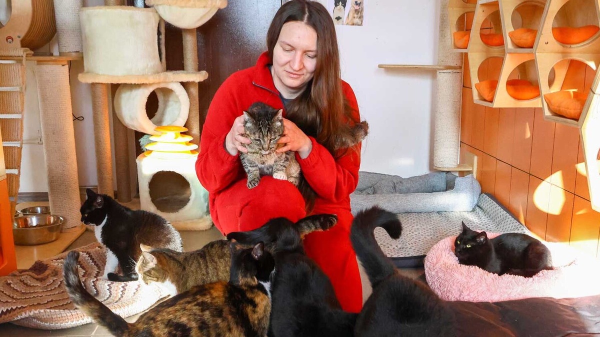    Источник: пресс-служба Комитета общественных связей и молодежной политики города Москвы