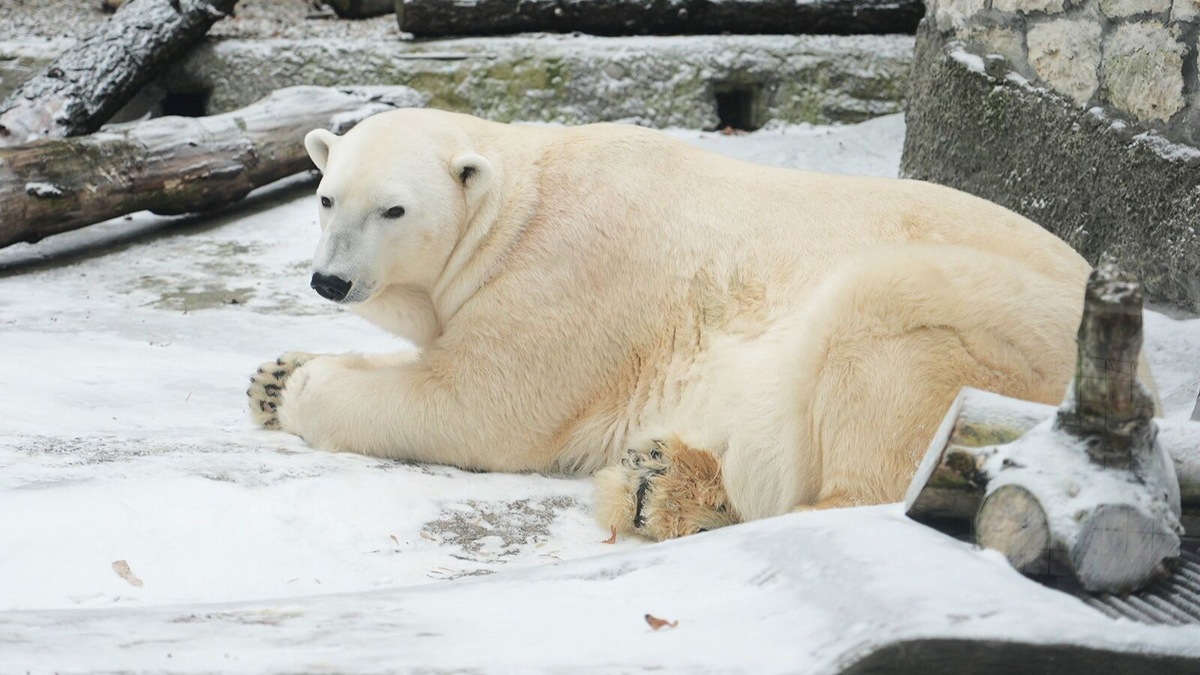    Источник: пресс-служба Департамента культуры города Москвы